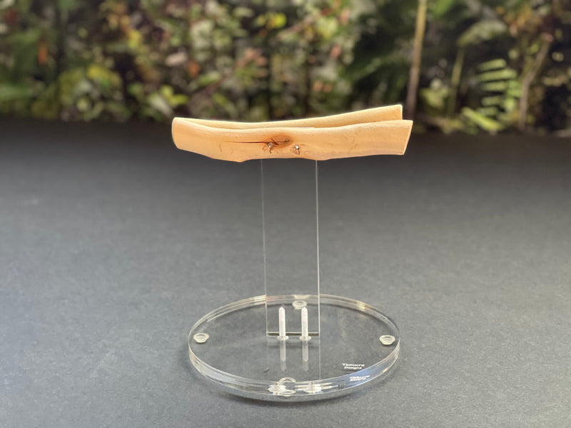 Small Weight Stand