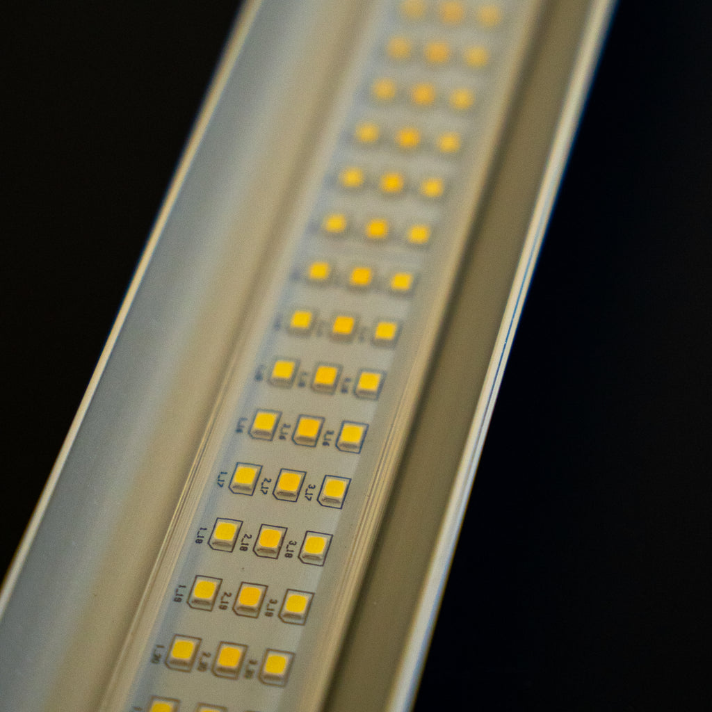 Arcadia - Jungle Dawn LED BAR 12'', 18'', 22'', 34''