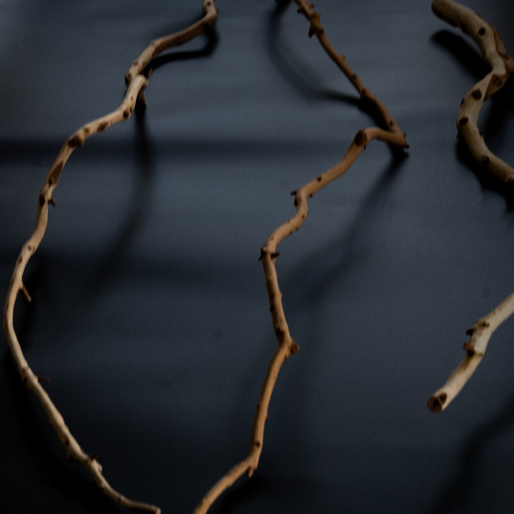 Manzanita Branch Sticks