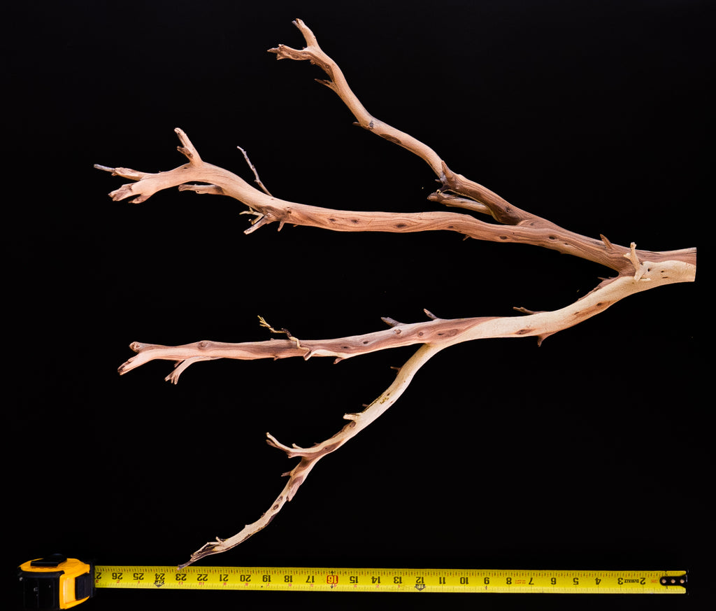 Ghost Wood Small Branch