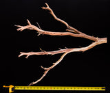 Ghost Wood Small Branch
