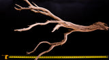 Ghost Wood Large Branch