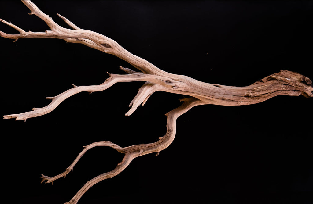 Ghost Wood Large Branch