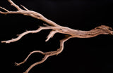 Ghost Wood Large Branch