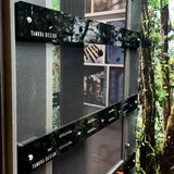 BRANCH HOLDERS