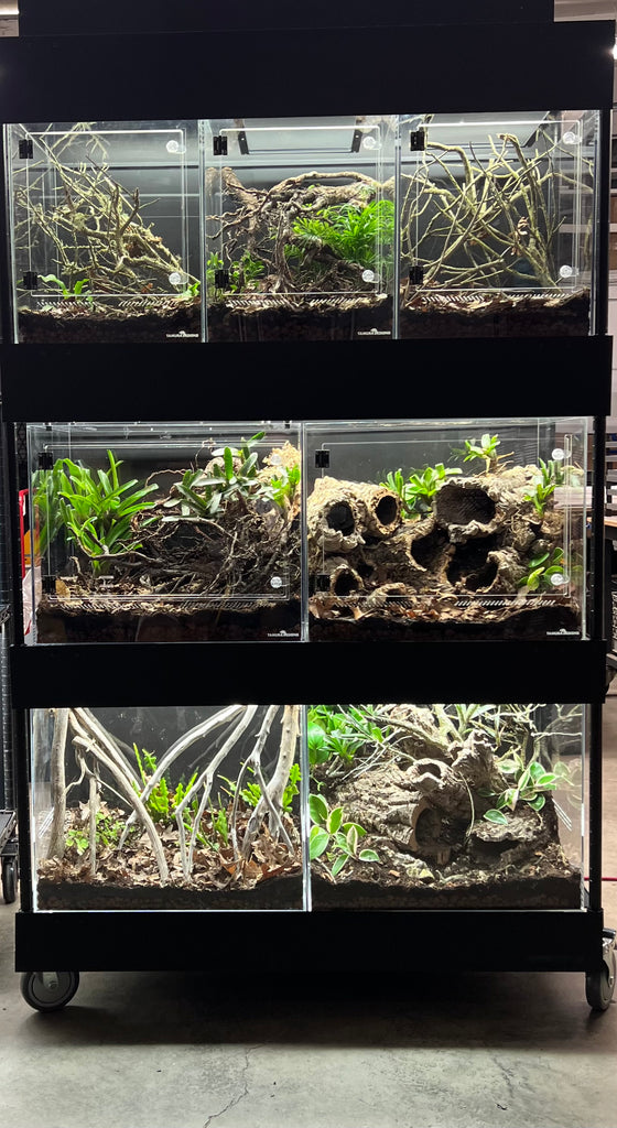 ACRYLIC SHOW TANK  22" W X 18"TALL X 10.5" DEEP  PRE ORDER  4 week