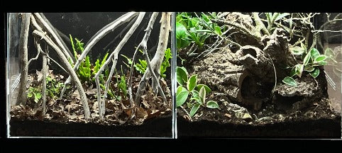 ACRYLIC SHOW TANK  22" W X 18"TALL X 10.5" DEEP  PRE ORDER  4 week