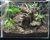 ACRYLIC SHOW TANK  22" W X 18"TALL X 10.5" DEEP  PRE ORDER  4 week