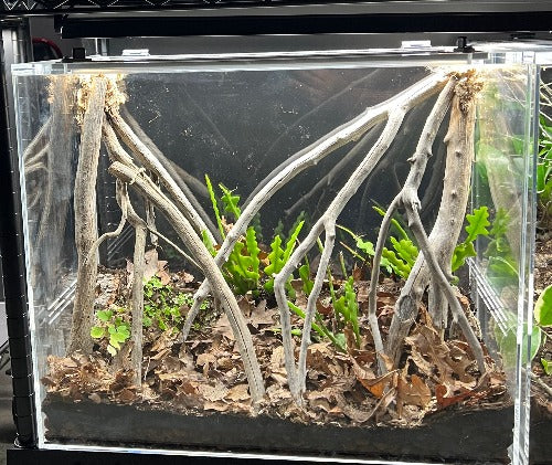 ACRYLIC SHOW TANK  22" W X 18"TALL X 10.5" DEEP  PRE ORDER  4 week