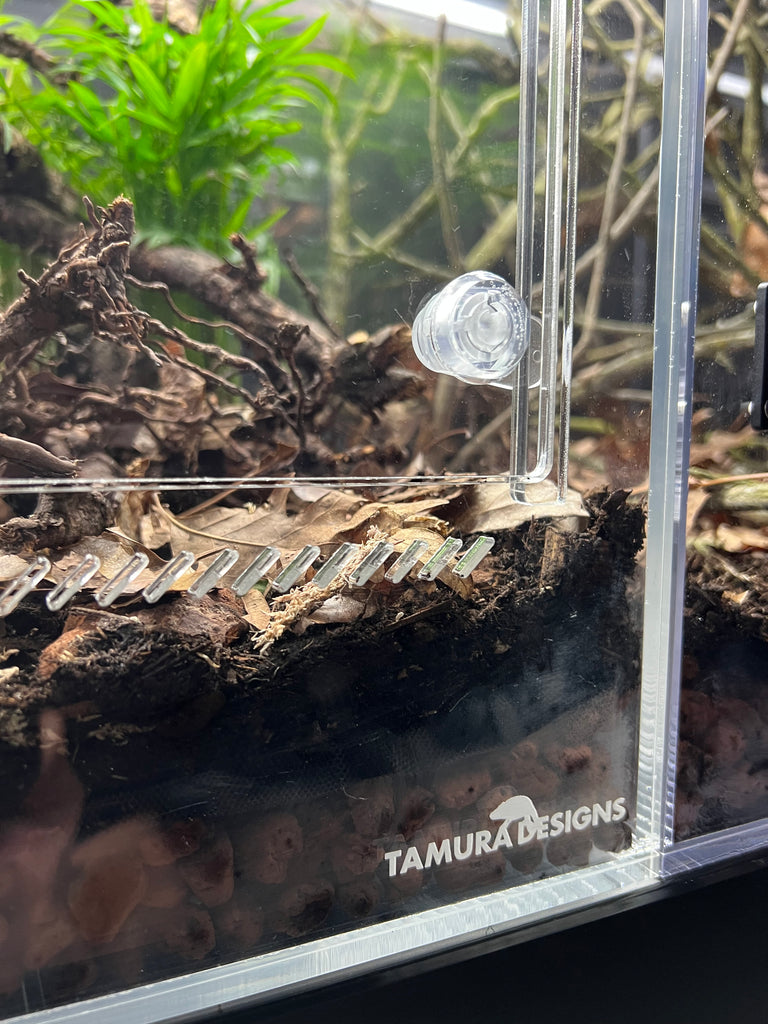 ACRYLIC SHOW TANK  22" W X 18"TALL X 17" DEEP  PRE ORDER  4 week