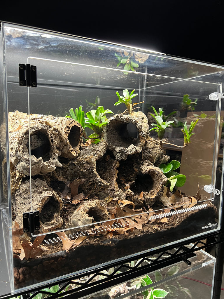 ACRYLIC SHOW TANK  22" W X 18"TALL X 17" DEEP  PRE ORDER  4 week