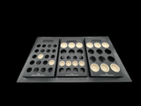 Gecko Feeder Tray