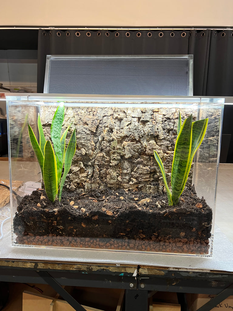 ACRYLIC SHOW TANK  22"WIDE X 18" TALL X 17" DEEP  PREORDER  4 week