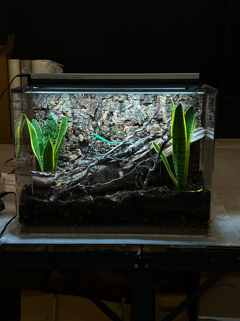 ACRYLIC SHOW TANK  22"WIDE X 18" TALL X 17" DEEP  PREORDER  4 week