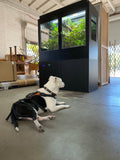Acrylic Doors 48"Wide_48Tall_24"Deep