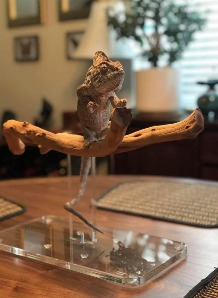 Large Weight stand