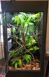 Acrylic Door 24"Wide_48"Tall_24"Deep