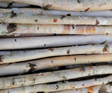 Birch Poles 4ft x 1-2