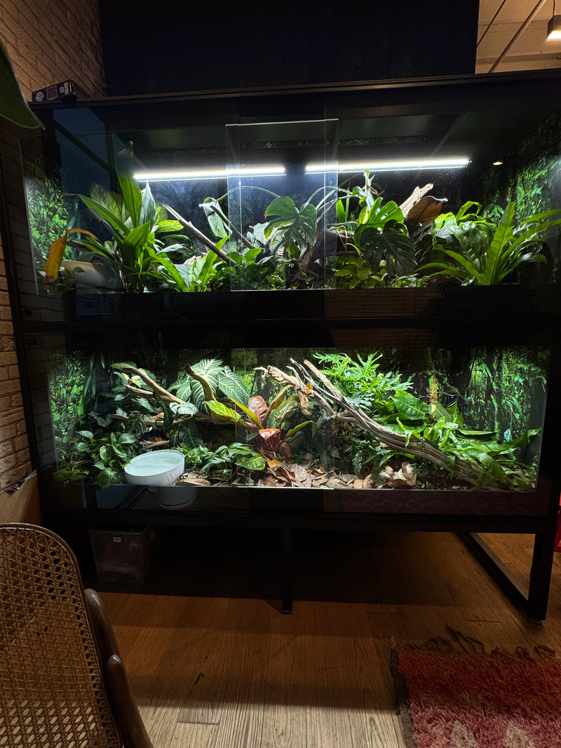 WORKSHOP_REPTILIUM   96" WIDE X 36" TALL X 36" DEEP