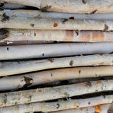 Birch Poles 5ft x 1-2' Diameter