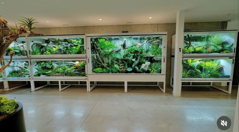 120” wide  72" tall  x 36" deep  WORKSHOP_REPTILIUM  ENCLOSURE #1
