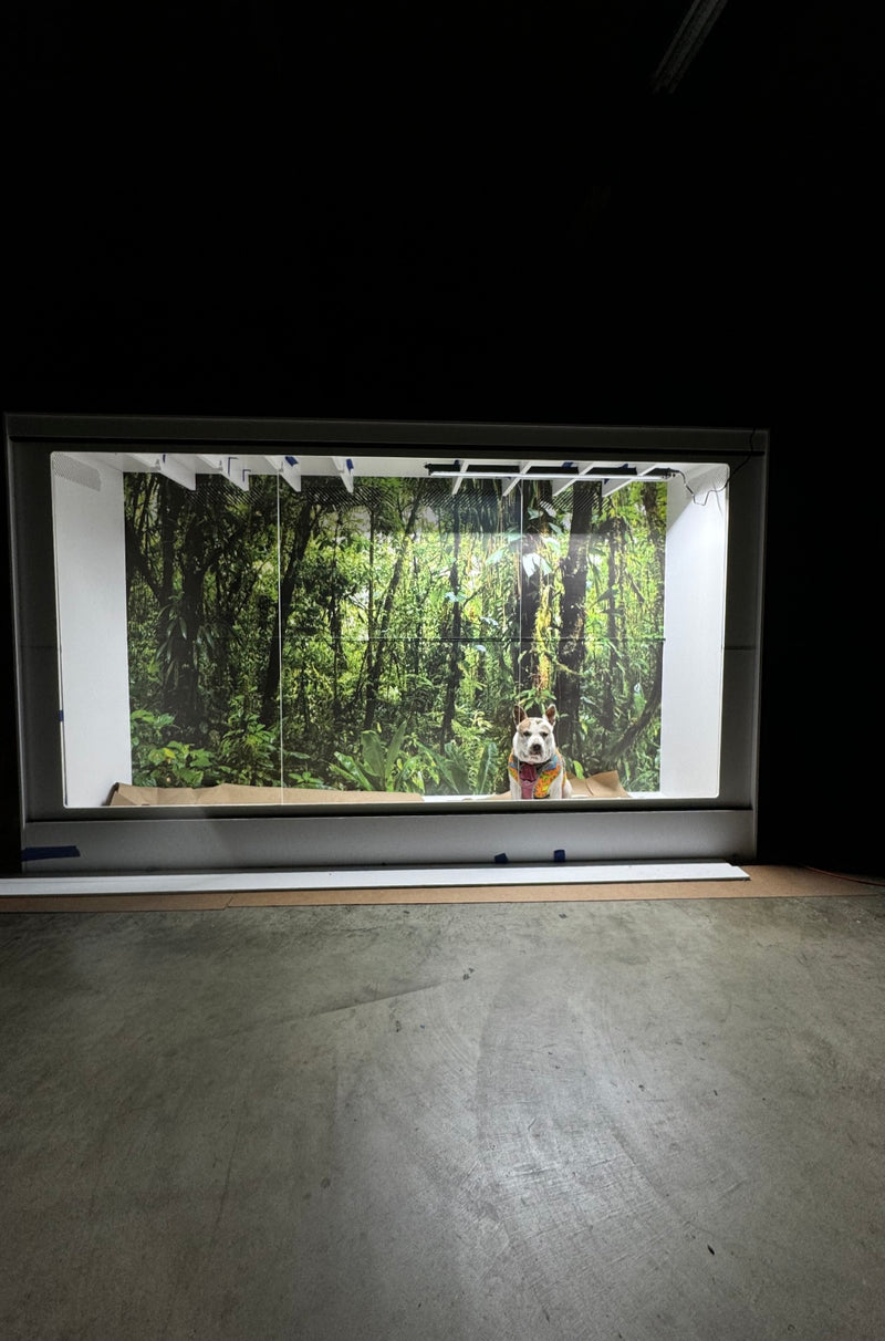 120” wide  72" tall  x 36" deep  WORKSHOP_REPTILIUM  ENCLOSURE #1