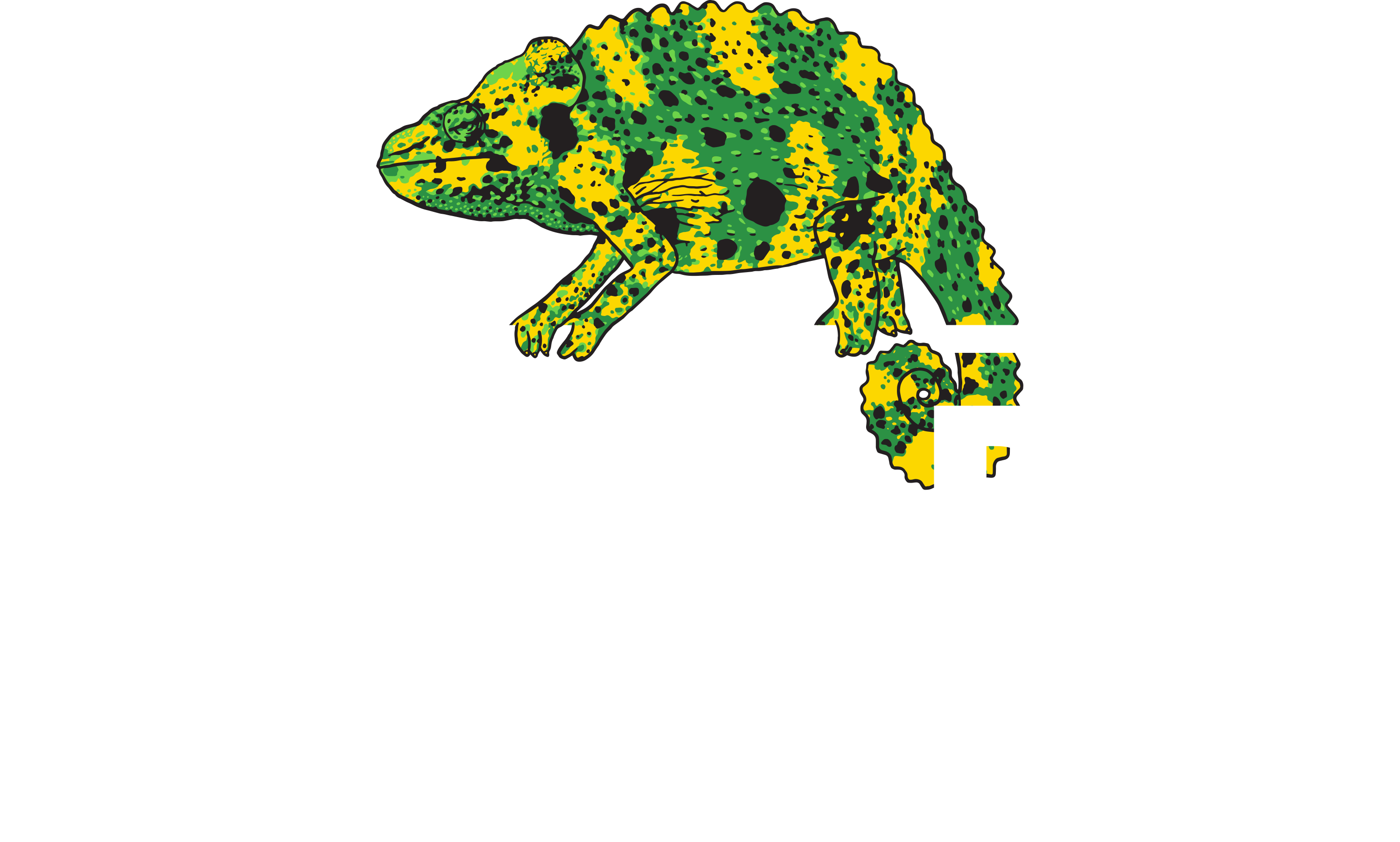 Tamura-designs