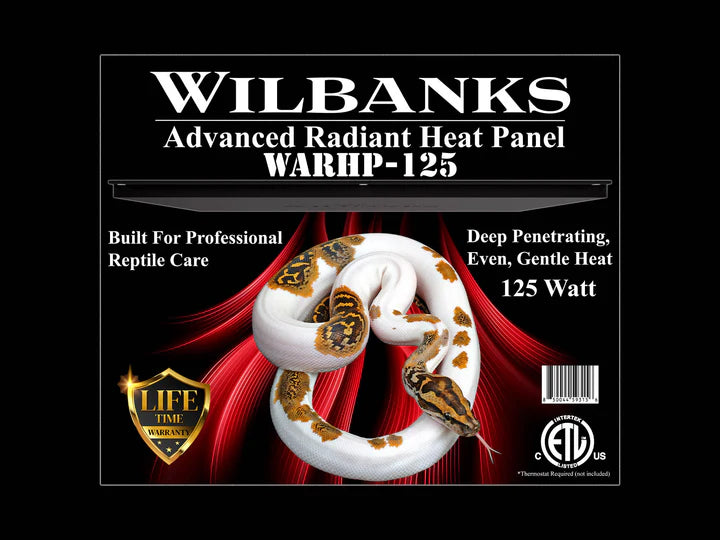 WILL BANKS 125 WATTS