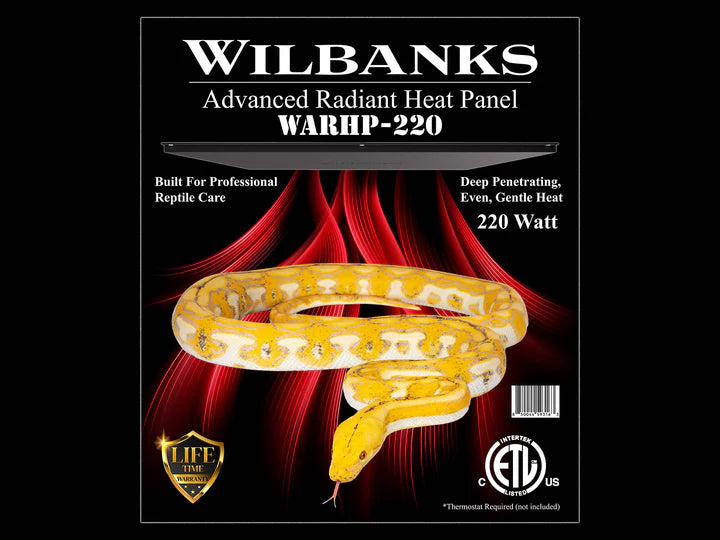 WILL BANKS 220 WATTS