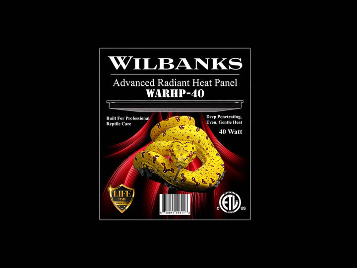 WILL BANKS 40 WATTS