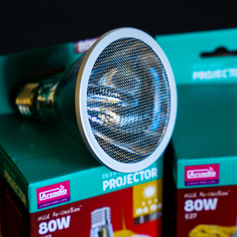 Arcadia - Deep Heat Projector 50w, 80w