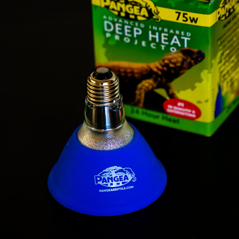 Pangea - Infrared Deep Heat Projector 50w, 75w, 100w