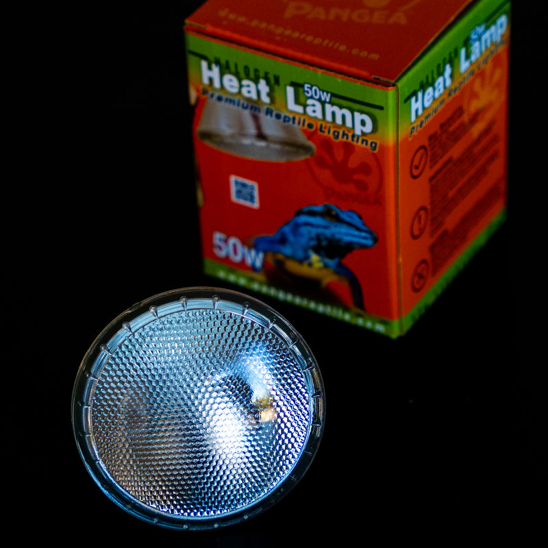 Pangea - Halogen Heat Lamp 50W, 75W, 100W