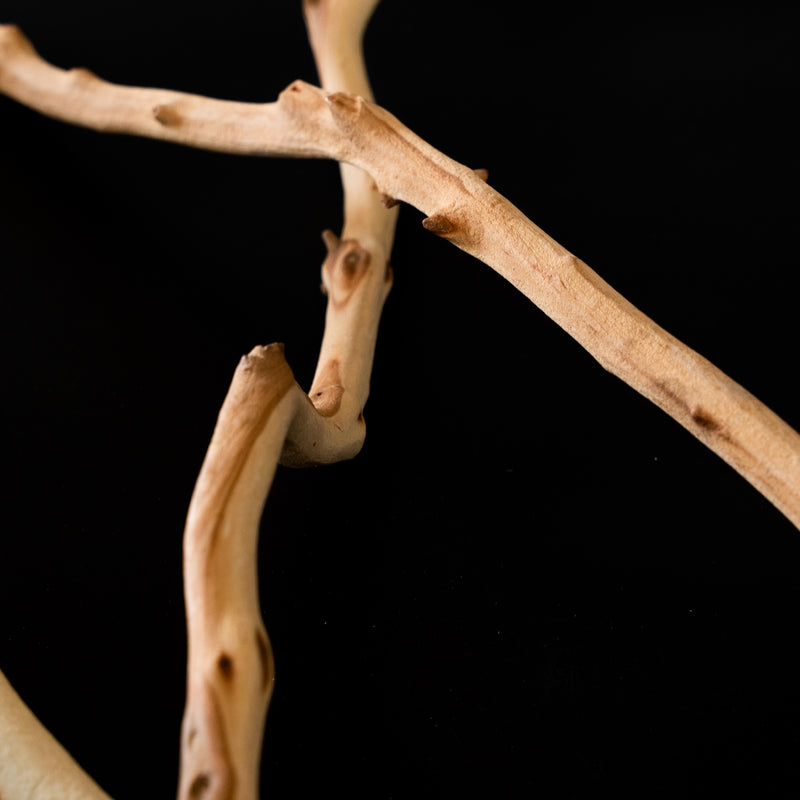 Manzanita Branch Sticks