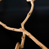 Manzanita Branch Sticks