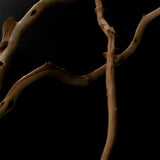 Manzanita Branch Sticks