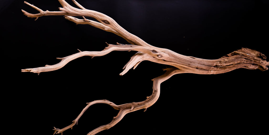 Ghost Wood Large Branch