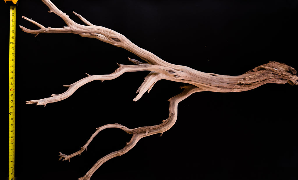 Ghost Wood Large Branch
