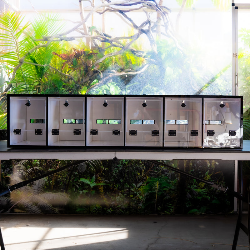 Clear Front Doors  6 Compartment Condo 46"Wide_10.5"Tall_15"Deep