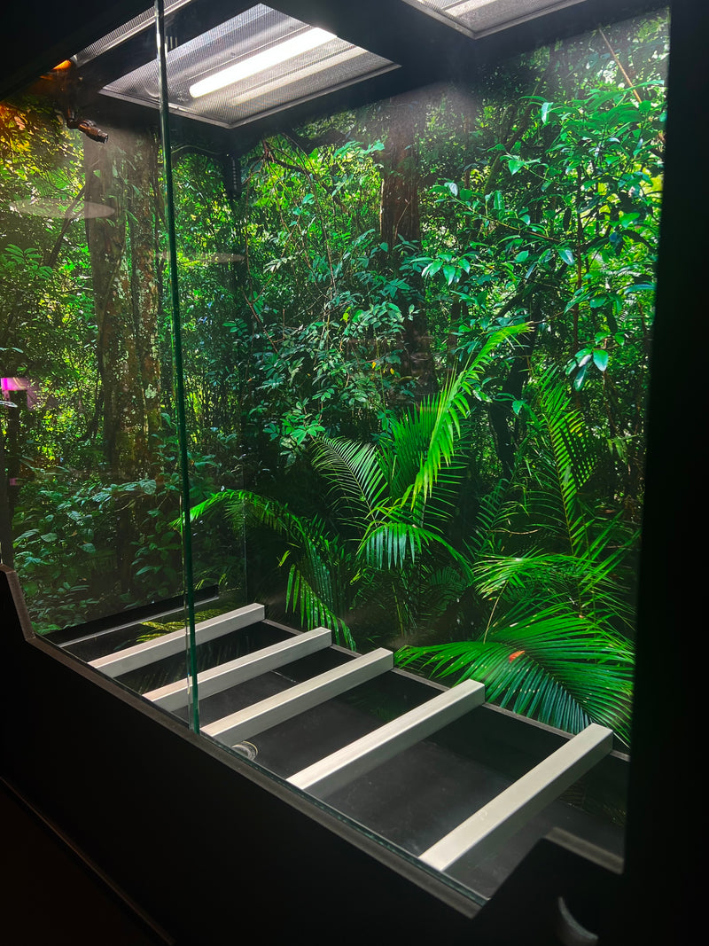 36 wide x 36 tall x 18 deep