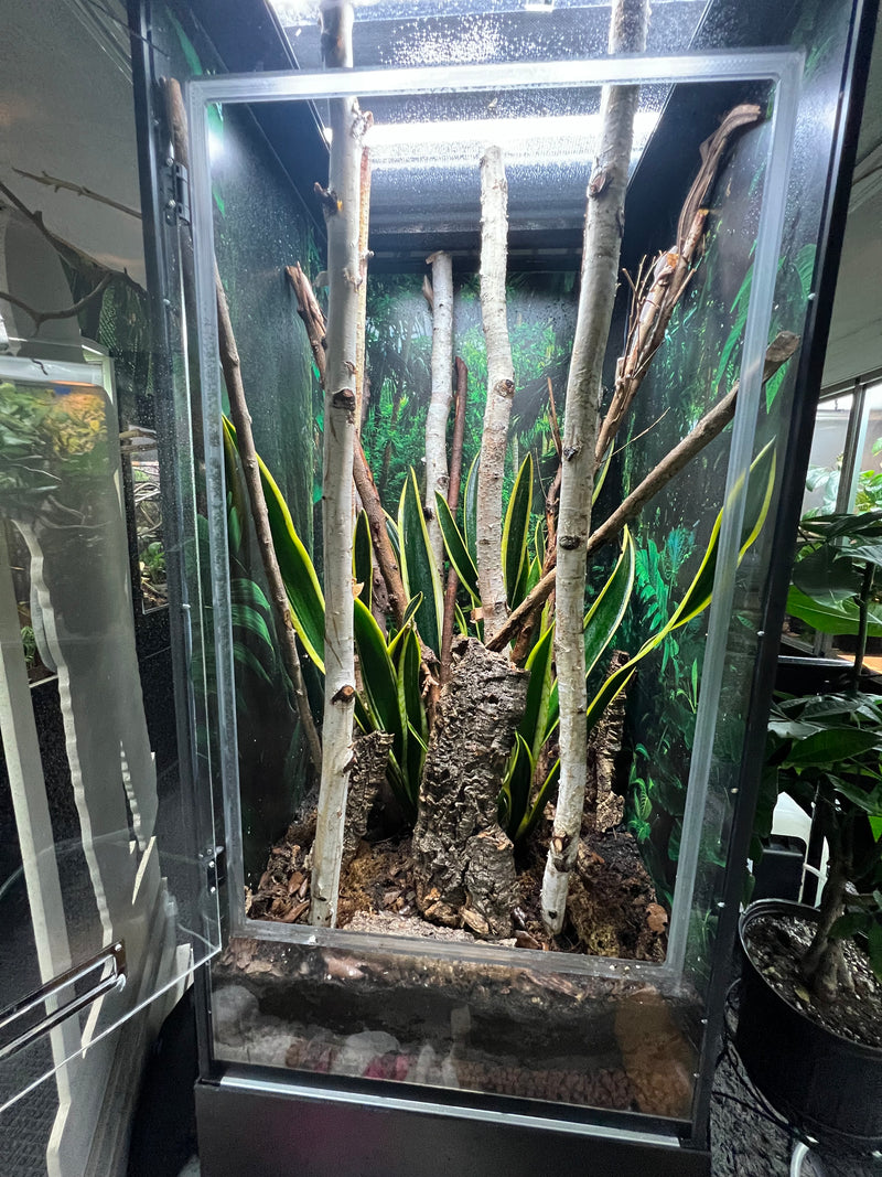 CLEAR FRONT 24"Wide_48"Tall_24"Deep