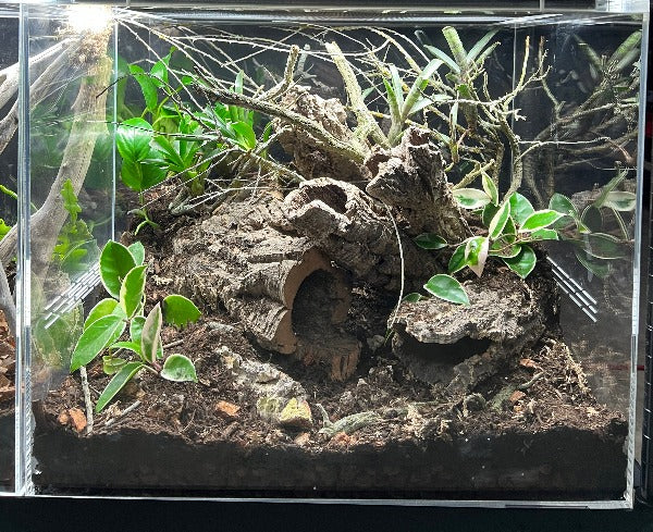 ACRYLIC SHOW TANK  22" W X 18"TALL X 10.5" DEEP  PRE ORDER  4 week