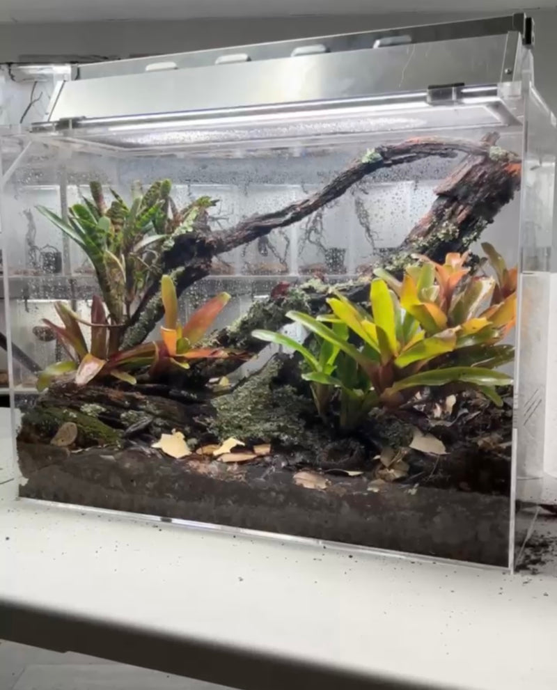 ACRYLIC SHOW TANK  22"WIDE X 18" TALL X 17" DEEP  PREORDER  4 week